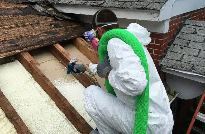 Roofing Spray
